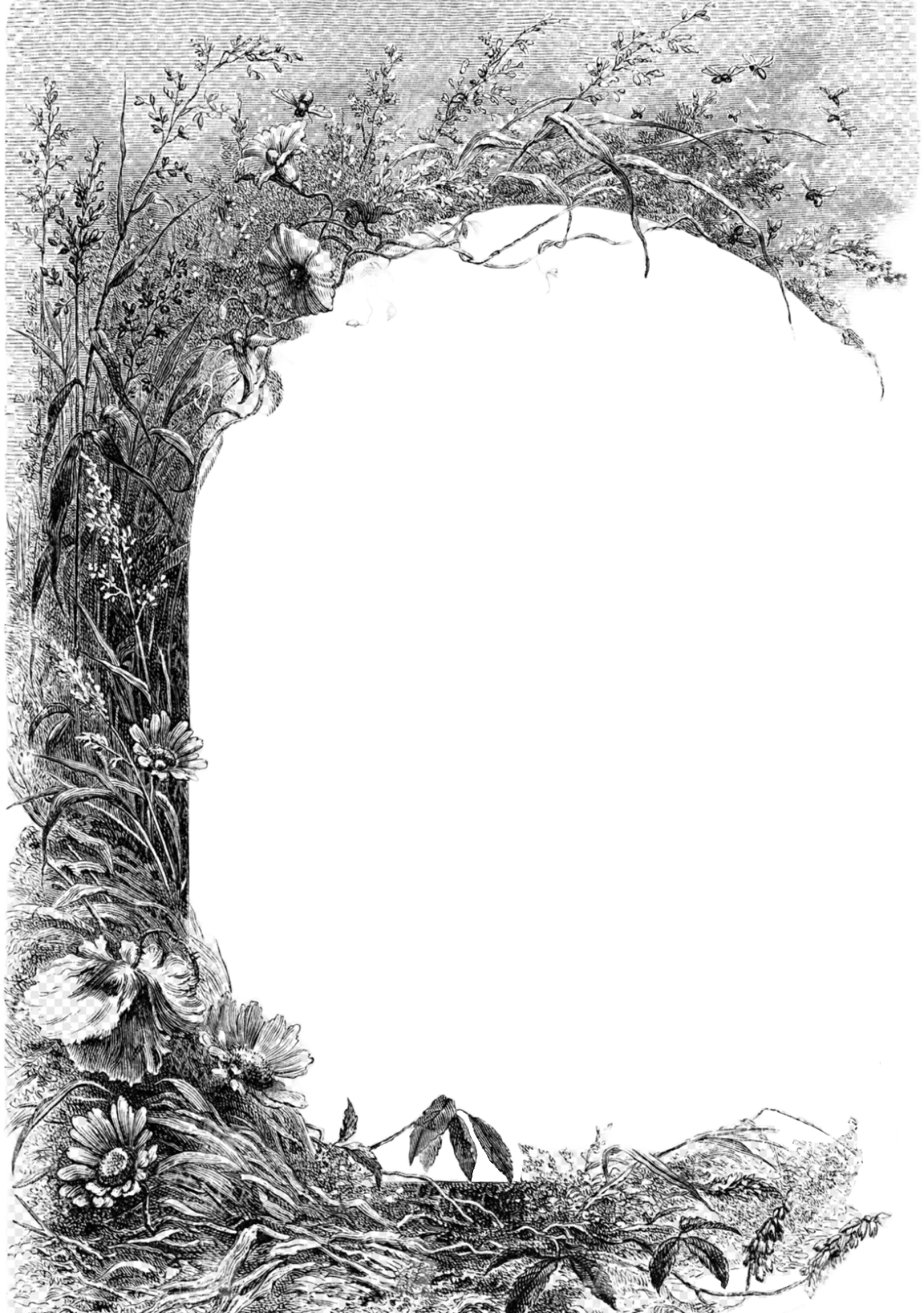 border